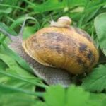 Logo MONSIEUR PHILIPPE GUIADER