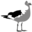 Logo MONSIEUR YVES LAPORTE