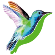 Logo BIOALIZE
