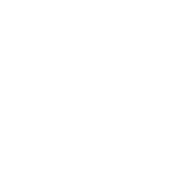 Logo DOMAINE DE TOURAINE