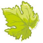 Logo LA VINOTHEQUE DE CARNOT