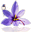 Logo GAEC DE LOL HAUT