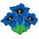 Logo LES GENTIANES