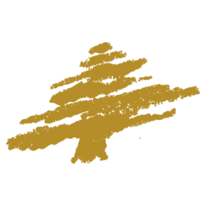 Logo AU CEDRE