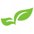 Logo MONSIEUR PHILIPPE MICHAELIS