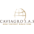 Logo CAVIAGRO