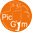 Logo PIC GYM