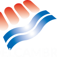 Logo DELCAMBRE