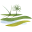 Logo PLANETE VERTE