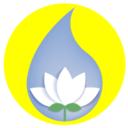 Logo FLEURS DE VIE THE FLOWER ESSENCE