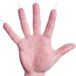 Logo MONSIEUR YANNICK ACANTHE