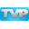 Logo TV PAINT DEVELOPPEMENT