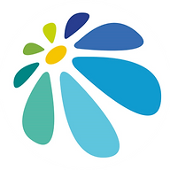 Logo CQFD AIR SOLUTION