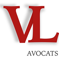 Logo MONSIEUR MATTHIEU LAMORIL