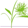 Logo PLANTAGENET PLANTES