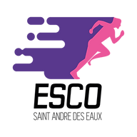 Logo OLYMPIQUE CLUB DE SAINT ANDRE LES LEOPARDS