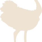 Logo MONSIEUR BORIS LE BEC