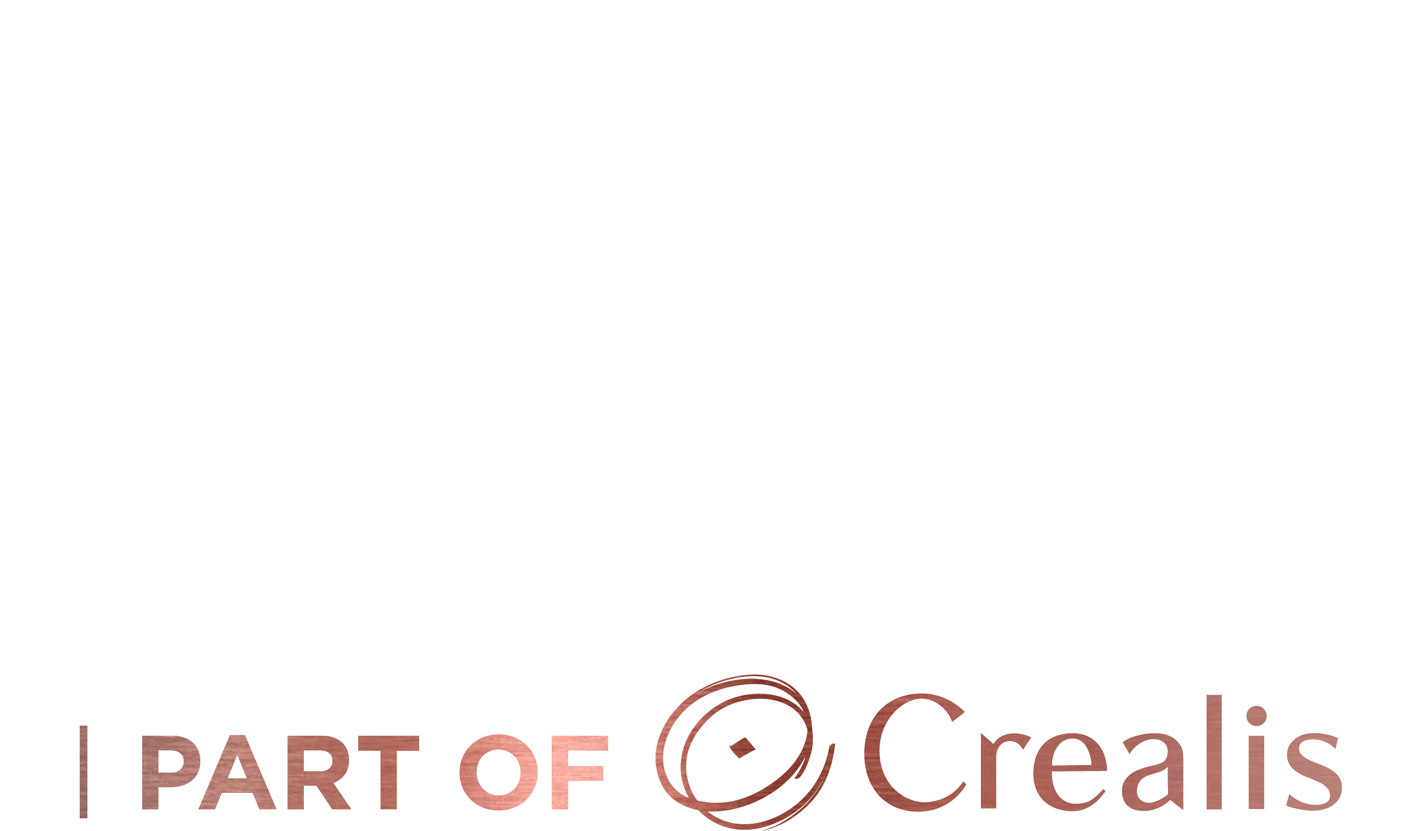 Logo LE MUSELET VALENTIN