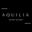 Logo AQUILIA