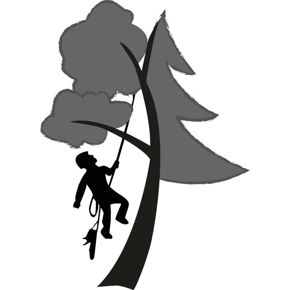 Logo TRANSTHOM