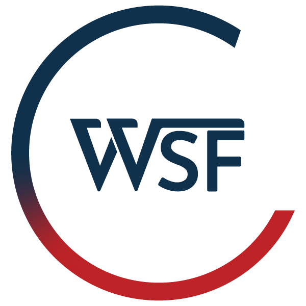 Logo WEB SHOPPING FRANCE