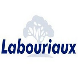 Logo TRANSPORTS LABOURIAUX