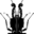 Logo FEDERAT ENSEMBL VOCAUX INSTRUM SPEC