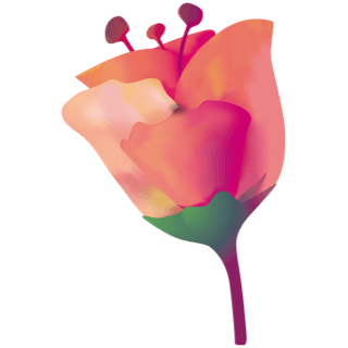 Logo MADAME CORINNE BRANDON