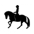 Logo MONSIEUR BRUNO ARNOUX