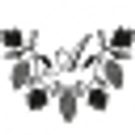 Logo SCEV DES AGIS