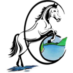 Logo CENTRE EQUESTRE DE CHALAIN