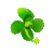 Logo SARL CARSANDRA