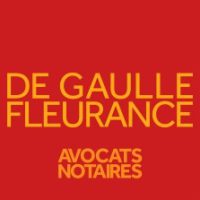 Logo DE GAULLE FLEURANCE & ASSOCIES