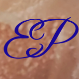 Logo ECOLE DU PALAIS