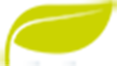 Logo YUZU