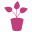 Logo DECOFLEURS