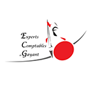 Logo EXPERTS COMPTABLES DE GAYANT