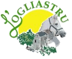 Logo MADAME CHRISTELLE CHATELOT