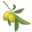 Logo DOMAINE DE LA PIERRE PLANTEE