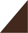 Logo TRANSVERSAL-GRANITO
