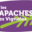 Logo LES APACHES DES VIGNOLES