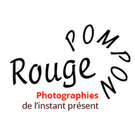 Logo MADAME STEPHANIE MARIN