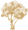 Logo CLOS DES OLIVIERS