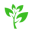 Logo SOCIETE PEPINIERES RAYMOND
