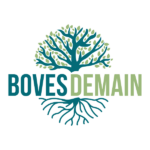 Logo MONSIEUR BRUNO MARIE