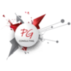 Logo PG CONSULTING