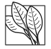 Logo LA FLANDRINE