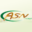 Logo ASN CONCEPT