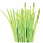 Logo GREEN TOUCH