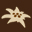 Logo SARL LE VIEUX MAZOT